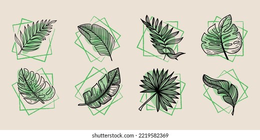 A set of tropical elements tropical monster leaves, banana leaves, etc. Hand-drawn doodle-style elements. Bright greens in abstract squares on beige light background. Tropics. Summer. 