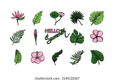 Set of tropical elements of tropical strelitzia flower, monster leaves, banana leaves, lotus. Hand-drawn doodle-style elements, bright flowers and greenery. Hello summer, hand-drawn. Tropics. Summer. 