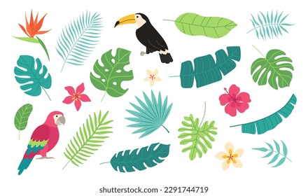 Set of tropical elements. Toucan, macaw, palm leaves, banana leaf, plumeria, hibiscus, bird of paradise . Vector flat cartoon illustration.