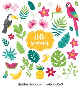 Conjunto de elementos tropicales. Toucan, macaw, bambú, piña, orquídea, sandía, plátano, hojas de palma. Diseño de dibujos animados