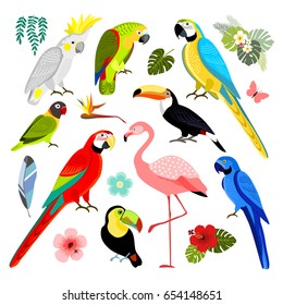 Set Of Tropical Exotic Birds, Flamingo, Toucan And Parrots, Isolated Vector Illustration