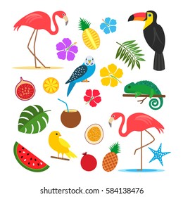 Set of tropical, exotic elements from plants, animals, birds and fruits. stickers. flat vector illustration isolate on a white background