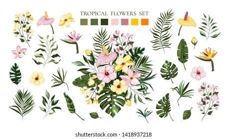 Set of tropical exotic flowers frangipani hibiscus calla green monstera palm leaves. Floral bouquets arrangements for wedding invitation save the date card. Vector illustration in watercolor style