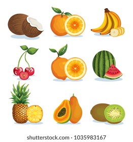 set tropical and exotic fruits