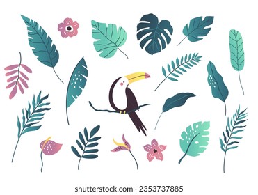 Set of tropical exotic leaves leaves, blooming flowers and toucan bird. Vector foliage illustration