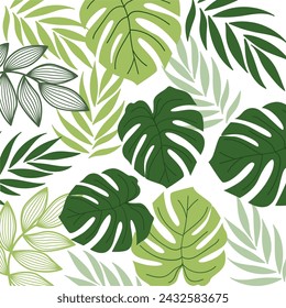 Set of tropical exotic leaves of different types. Realistic vector illustration isolated on white background
