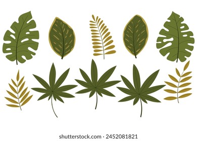 Set of tropical exotic leaves of different shapes. Jungle plants. Ficus, Monstera and palm leaves. Flat vector illustration on white background