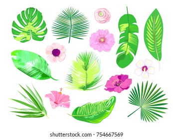 Set of tropical exotic plants. Pink Flowers. Vector.