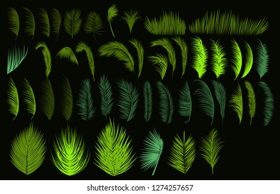 Set of tropical exotical palms 
silhouette pencil drawing. Wild forest jungle. Nature. Floral and botanical. Summer vector illustration