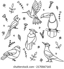 Set of tropical fantasy birds of paradise in a doodle style with floral and plant patterns. Collection for stickers, patterns, decor, prints