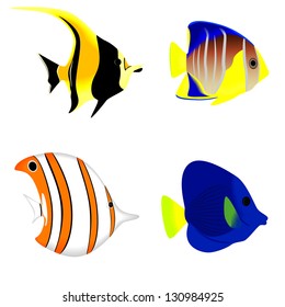 Set of a tropical fish isolated on a white background, vector illustration