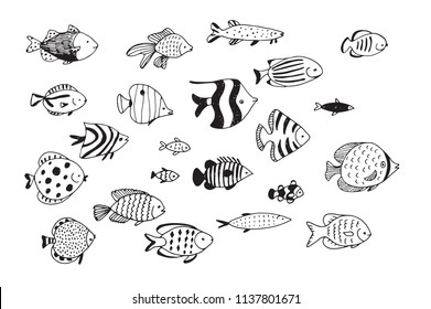Set of tropical fish. Vector doodle illustration