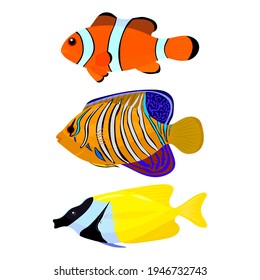 conjunto de peces tropicales, ilustración vectorial