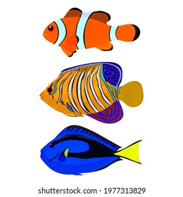 set of tropical fish, vector illustration