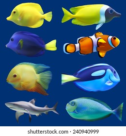 Set of tropical fish. Vector illustration