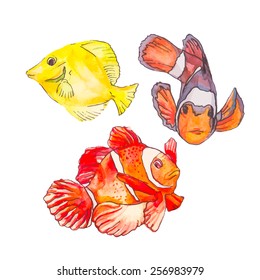 Set of tropical fishes. Vector