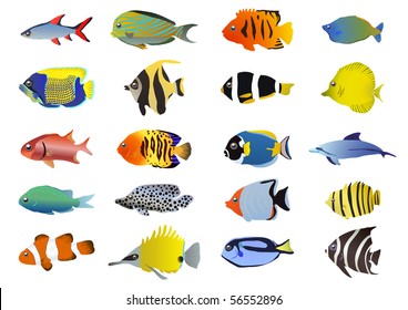 Set of tropical fishes, vector illustration