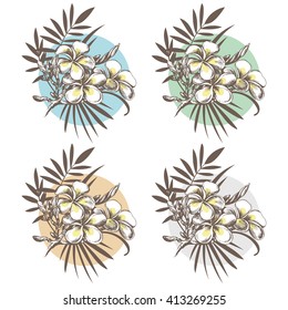 Set of tropical floral elements for your design. Hand drawn exotic tropical flowers. Frangipani (Plumeria) sketch with palm leaves. Composition with exotic plants.