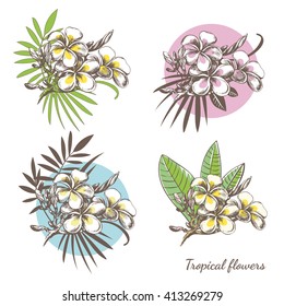 Set of tropical floral elements for your design. Hand drawn exotic tropical flowers. Frangipani (Plumeria) sketch with palm leaves. Composition with exotic plants.