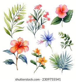 Set of tropical floral watecolor. tropical flower, tropical leaves. tropical poster, invitation floral. Vector arrangements for greeting card or invitation design