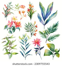 Set of tropical floral watecolor. tropical flower, tropical leaves. tropical poster, invitation floral. Vector arrangements for greeting card or invitation design