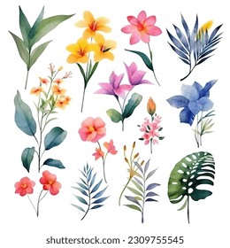 Set of tropical floral watecolor. tropical flower, tropical leaves. tropical poster, invitation floral. Vector arrangements for greeting card or invitation design