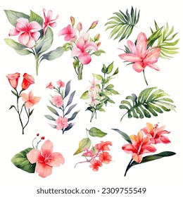 Set of tropical floral watecolor. tropical flower, tropical leaves. tropical poster, invitation floral. Vector arrangements for greeting card or invitation design