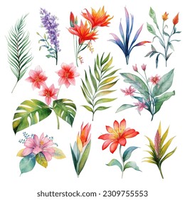 Set of tropical floral watecolor. tropical flower, tropical leaves. tropical poster, invitation floral. Vector arrangements for greeting card or invitation design