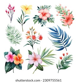 Set of tropical floral watecolor. tropical flower, tropical leaves. tropical poster, invitation floral. Vector arrangements for greeting card or invitation design