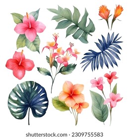 Set of tropical floral watecolor. tropical flower, tropical leaves. tropical poster, invitation floral. Vector arrangements for greeting card or invitation design