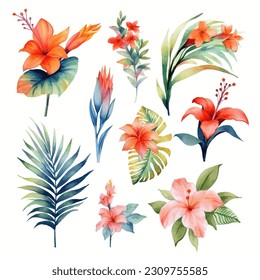 Set of tropical floral watecolor. tropical flower, tropical leaves. tropical poster, invitation floral. Vector arrangements for greeting card or invitation design