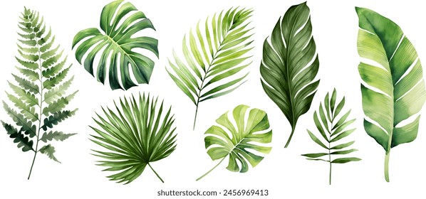 Set of tropical floral watecolor. tropical flower, tropical leaves. tropical poster, invitation floral. Vector arrangements for greeting card or invitation design