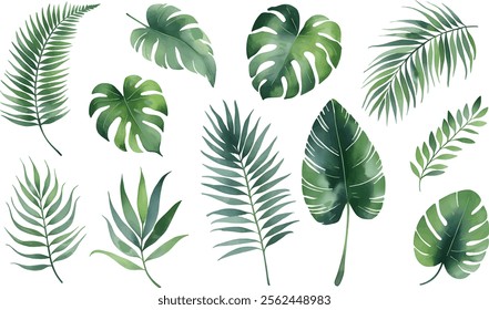 Set of tropical floral watecolor. Tropical green leaves on white background. Watercolor set of vector tropical leaves.