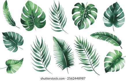 Set of tropical floral watecolor. Tropical green leaves on white background. Watercolor set of vector tropical leaves.