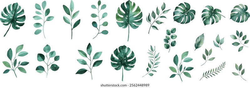 Set of tropical floral watecolor. Tropical green leaves on white background. Watercolor set of vector tropical leaves.