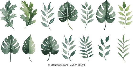 Set of tropical floral watecolor. Tropical green leaves on white background. Watercolor set of vector tropical leaves.