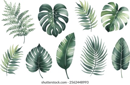 Set of tropical floral watecolor. Tropical green leaves on white background. Watercolor set of vector tropical leaves.