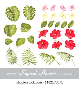 Set of tropical flowers elements. Collection of flowers on a white background. Vector illustration bundle.