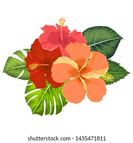 Set of tropical flowers elements. Collection of hibiscus flowers on a white background. Vector illustration bundle.