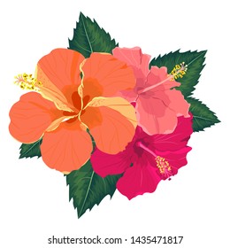 Set of tropical flowers elements. Collection of hibiscus flowers on a white background. Vector illustration bundle.