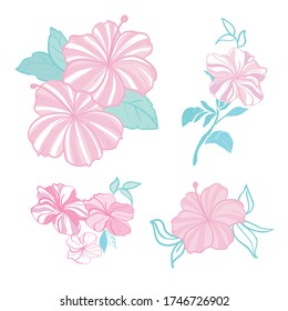 Set of tropical flowers elements. Collection of hibiscus flowers on a white background. Vector illustration bundle.