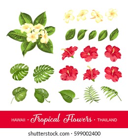 Set of tropical flowers elements. Collection of flowers on a white background. Vector illustration bundle.