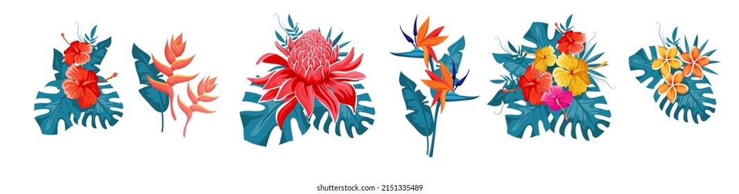 Set of tropical flowers, exotic collection with monstera leaves. Hibiscus, plumeria, bird of paradise, etlingera, heliconia bihai, red palulu. Vector illustration.