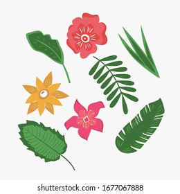 Set of tropical flowers and leaves. Vector illustration of green leaves and a red, yellow and pink flower.