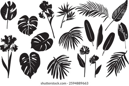 Set tropical flowers and leaves vector black plant nature