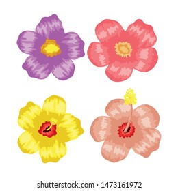 set of tropical flowers plants