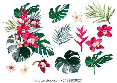 Set of tropical flowers and plants. Bouquet of flowers vector. Exotic, jungle, tropic