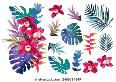 Set of tropical flowers and plants. Bouquet of flowers vector. Exotic, jungle, tropic