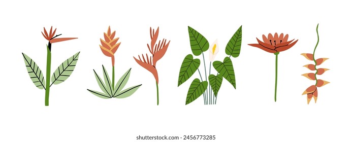 Conjunto con flores tropicales. Selva tropical, naturaleza salvaje. Ilustración vectorial en estilo plano.