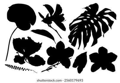 Set of tropical flowers silhouettes. Black summertime poster. Collection of scrapbooking elements for beach party with exotic plants.